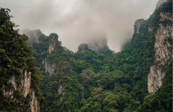 Remarquable! hotels experts: Growth hacking